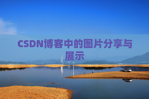 CSDN博客中的图片分享与展示