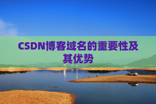 CSDN博客域名的重要性及其优势